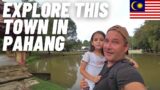 A WALK THROUGH TEMERLOH / SWISS FAMILY EXPLORES MALAYSIA