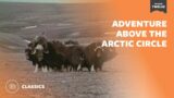 Adventure Above the Arctic Circle | Mutual of Omaha's Wild Kingdom