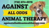 Against All Odds Animal Therapy Manchester Awesome Five Star Review by Jean Marie