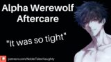 Alpha Werewolf Gives You Aftercare [M4F] [Dominant] [Possessive] [Boyfriend Roleplay]