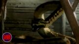Anaconda Attack in the Mine | Anacondas: Trail of Blood (2009)