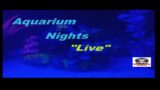 Aquarium Nights "Live"- Lets Hangout (13)