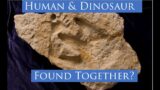 Are Human and Dinosaur Tracks Found Together?