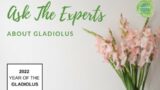 Ask the Experts about Gladiolus