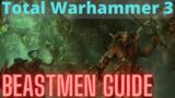Beastmen In Depth Guide! TW3 Immortal Empires