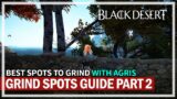 Best Spots to Grind with Agris in 2022 | Black Desert