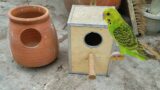 Bird House Terracotta Earthenware and wooden breeding box