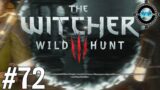 Boarish I guess – The Witcher 3 Wild Hunt Episode #72 (Blind Let’s Play/First Playthrough)