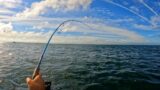 Catching Speedy Fish Until My Arms Hurt – Rhode Island Albie Fishing