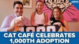 Charlotte cat cafe reaches 1,000 adoptions