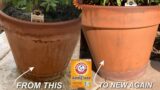 Clean Up Terracotta Planters Fast and Cheap With Baking Soda