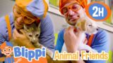 Cute Pets and Animals for Kids with Blippi | 2 Hours of Blippi | Educational Videos for Kids