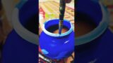 DIY Pot Painting || easy terracotta pot painting