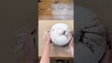 DIY Pottery Barn inspired white terracotta pumpkin