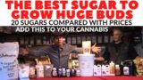 Definitive Guide to Feeding Cannabis Plants Sugar for Max Growth