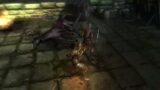 Demon's Souls cut "sidestep" animation