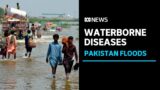 Disease spreads in flood-devastated Pakistan, UN warns death toll could rise | ABC News