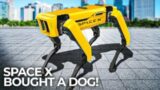 Elon Musk bought a Robotic Dog – Will help people on Mars
