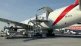 Emirate sky Cargo goods preparation – Emirate Cargo Flight