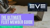Eve Echoes – Ultimate Beginner Guide for Fleet Member! Covering the basics