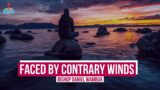 Faced By Contrary Winds | Biblical Insights With Bishop Daniel Wambua