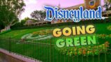 Fake Grass is here at Disneyland | There's a lot more than you think too!