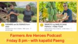 Farmers Are Heroes Podcast #-7  Papaya problems! Paeng to the rescue!
