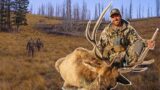 First Bull Elk EVER! | New Mexico Elk Hunting (FT S9 EP.7)