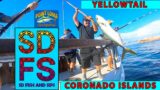 Fishing the Coronado Islands, Mexico for Yellowtail on Mission Belle Point Loma Sportfishing Boat