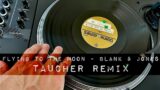 Flying To The Moon – Blank & Jones (Taucher Remix) – 1998