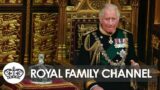From Prince Charles to King Charles III: Charles's New Role