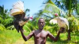 GUINEA FOWL COOKING IN UNDERGROUND | Primitive Technology |Village Grandpa Making Delicious Tandoori