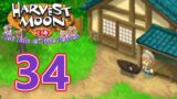 Harvest Moon: Tale of Two Towns 3DS – Episode 34: A Summer to Recover