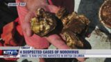 Hawaii DOH investigating 4 possible norovirus cases connected to raw oysters
