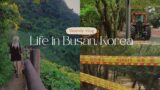 Hit by a Typhoon Before, During & After | Life in Busan Korea