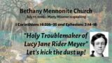 Holy Troublemaker ~ Lucy Jane Rider Meyer