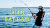 Hooked A 50 Pound Bat Ray At Harbor Island! (San Diego Fishing)