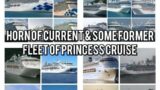 Horn Of Current & Some Former Fleet Of Princess Cruise || Princess Cruise