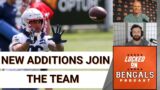 How Cincinnati Bengals' New Additions Will Contribute This Season