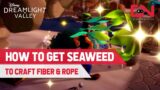How to Get Seaweed in Disney Dreamlight Valley to Make Fiber & Rope