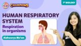 Human Respiratory System – Respiration in Organisms Class 7 Science Concept | BYJU'S – Class 7