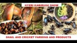 KABIRUINI SHOWGROUND (Snails and Cricket Farming) CENTRAL KENYA NATIONAL SHOW #agriculture #nyeri