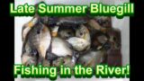 Late Summer Bluegill fishing on the River! Wearin' em out!