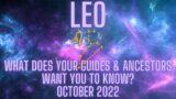 Leo – It's Time To Release And Clear Out Old Stories Leo!