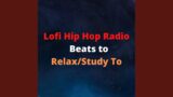 Lofi Hip Hop/Chill Beats