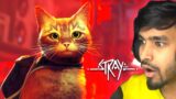 MY CUTE CAT LOST IN CYBERPUNK CITY | STRAY GAMEPLAY #3