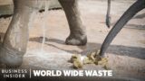 Making Elephant Poop Paper At A Fecal-Themed Park In Thailand | World Wide Waste | Business Insider