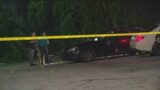 Man shot to death in car in DeKalb