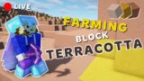 Mohercool Mencoba Farming Block Terracotta di Badlands