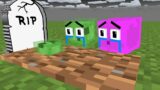 Monster School : minecraft animation